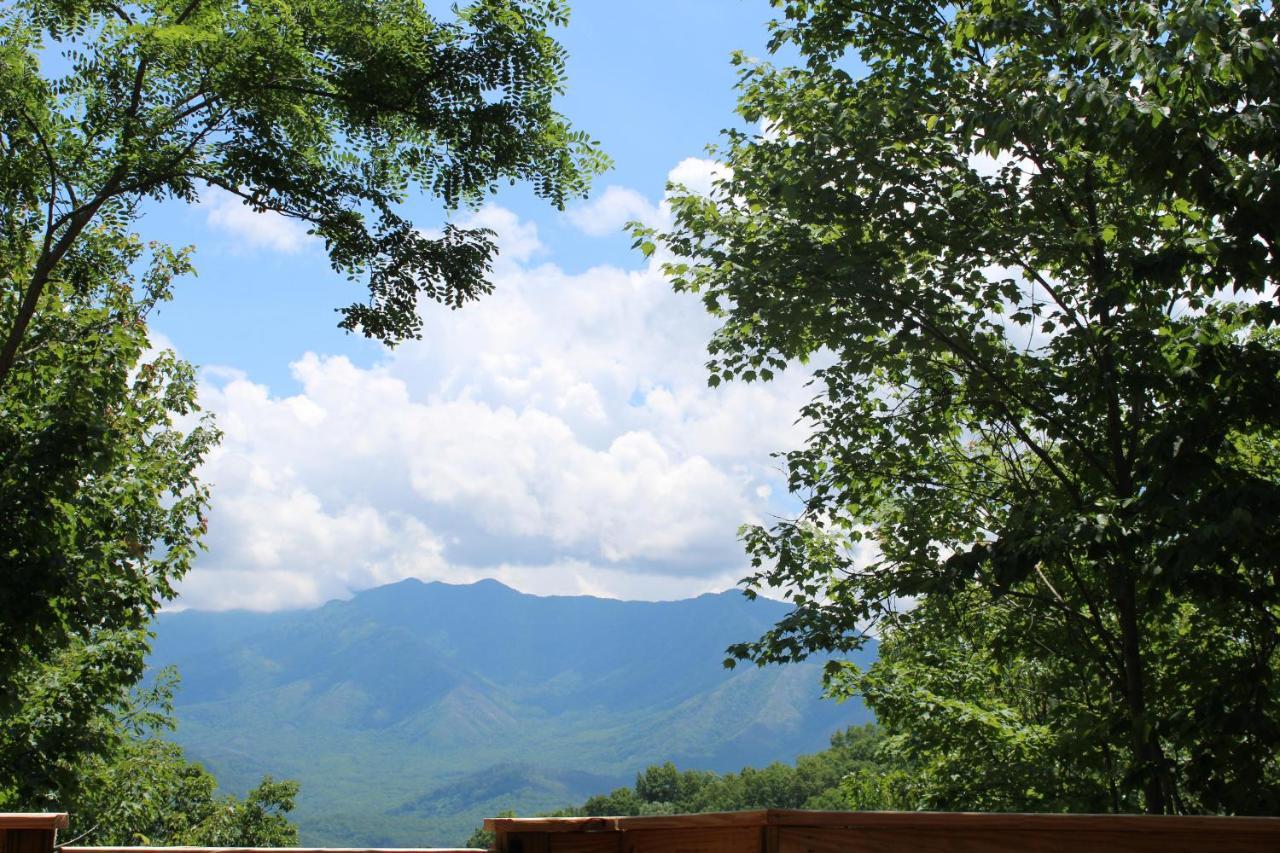 Hummingbird Hideout Villa Gatlinburg Dış mekan fotoğraf